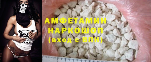 прущие грибы Богданович