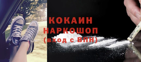 прущие грибы Богданович