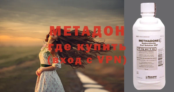 прущие грибы Богданович