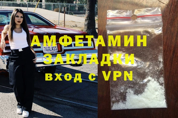 прущие грибы Богданович