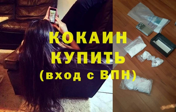 крисы Беломорск