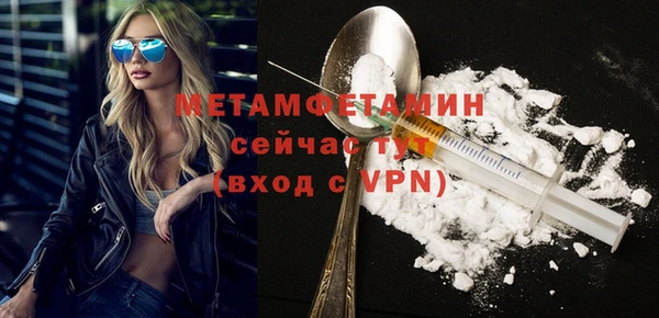 прущие грибы Богданович