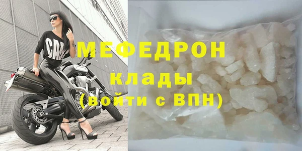 прущие грибы Богданович