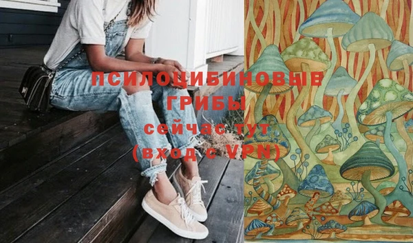 гашишное масло Богородицк