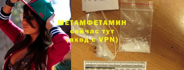 прущие грибы Богданович